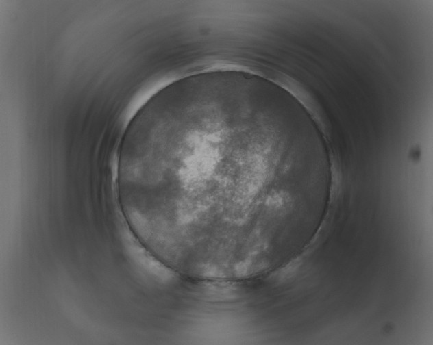 X0000110711198200906261424