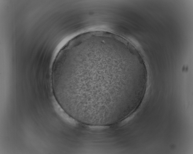 X0000110711200200906261424
