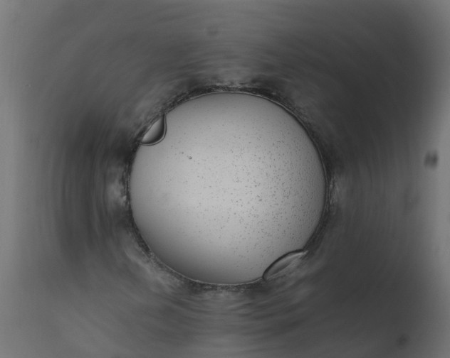 X0000110711202200906261423