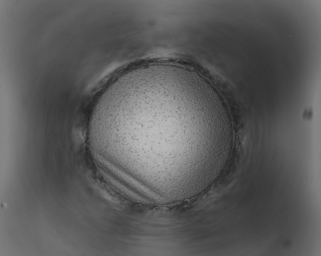 X0000110711206200906261423