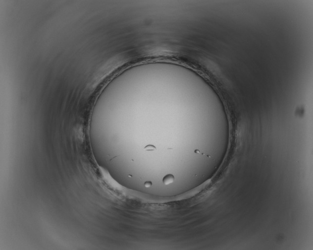 X0000110711209200906261423
