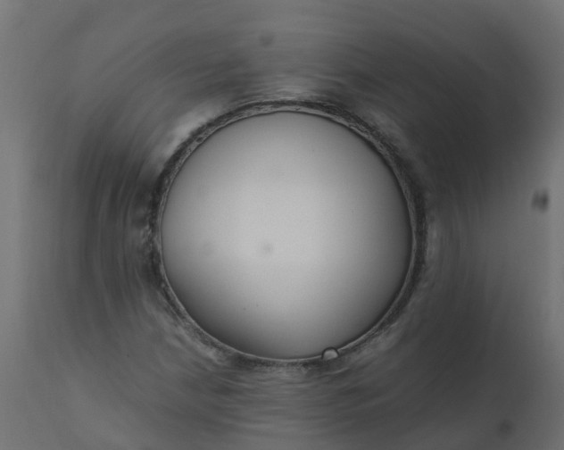 X0000110711210200906261423