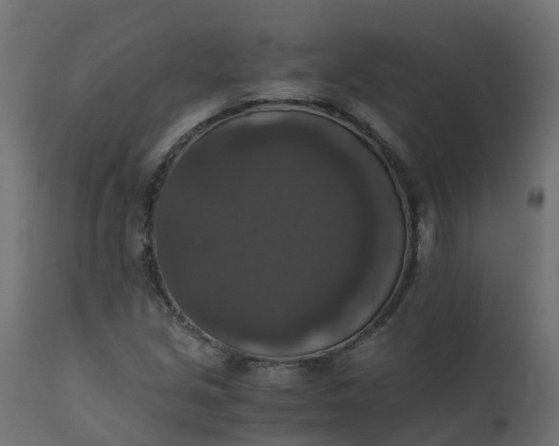 X0000110711213200906261423