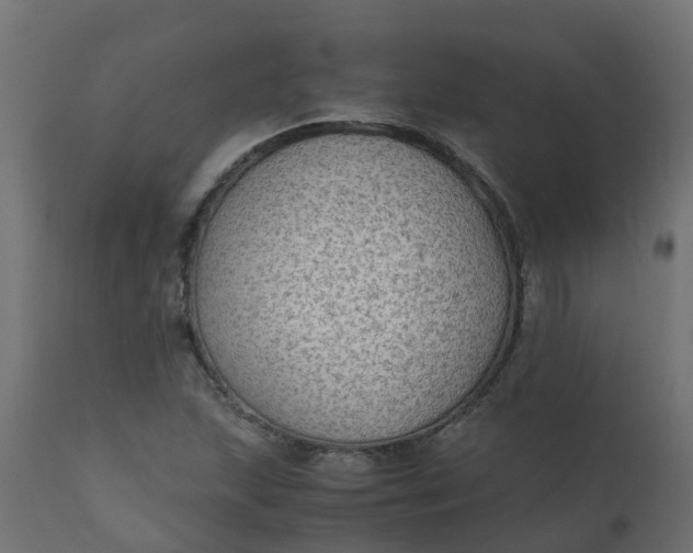 X0000110711215200906261423