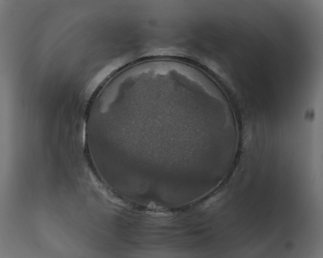 X0000110711221200906261423