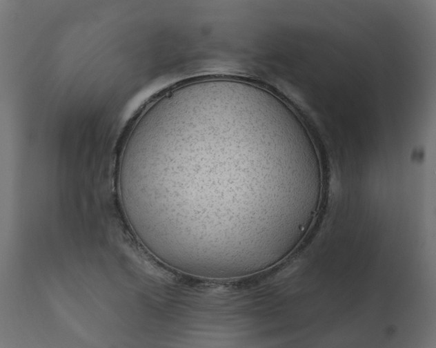X0000110711222200906261423