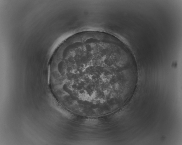 X0000110711223200906261423