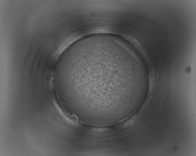X0000110711225200906261423