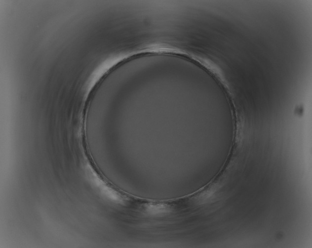 X0000110711231200906261423
