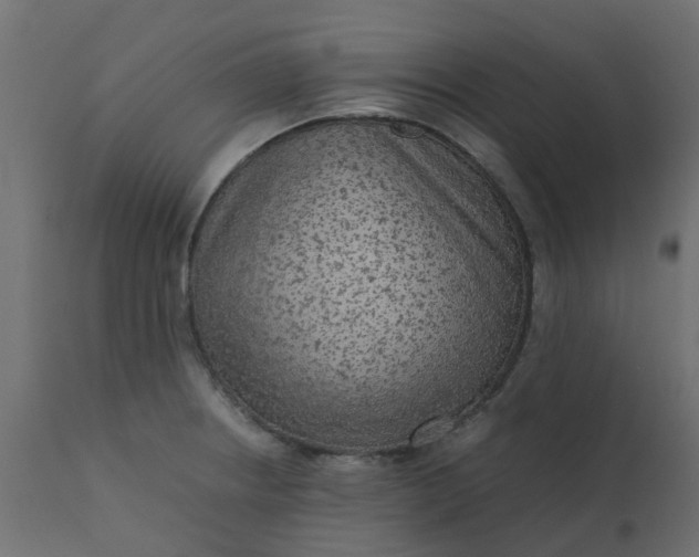 X0000110711234200906261423