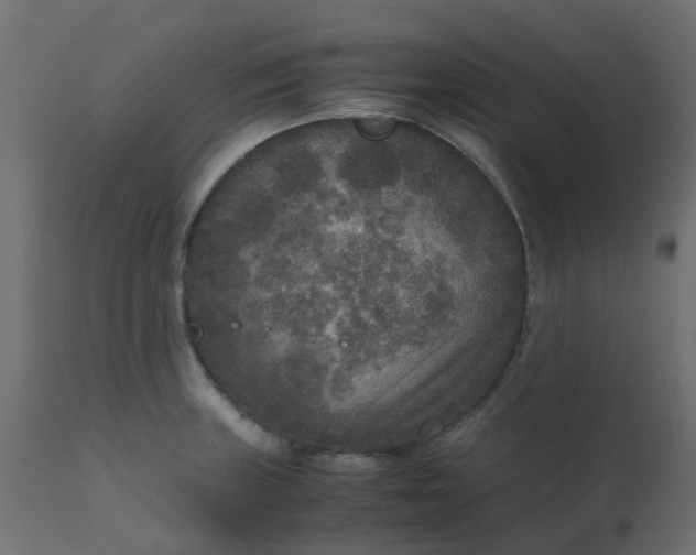 X0000110711235200906261423