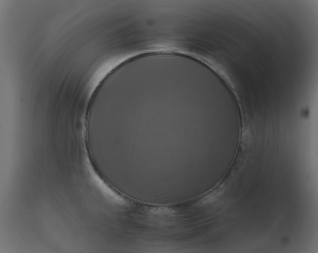 X0000110711239200906261424