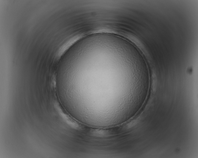 X0000110711241200906261424