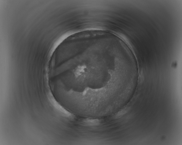 X0000110711243200906261424