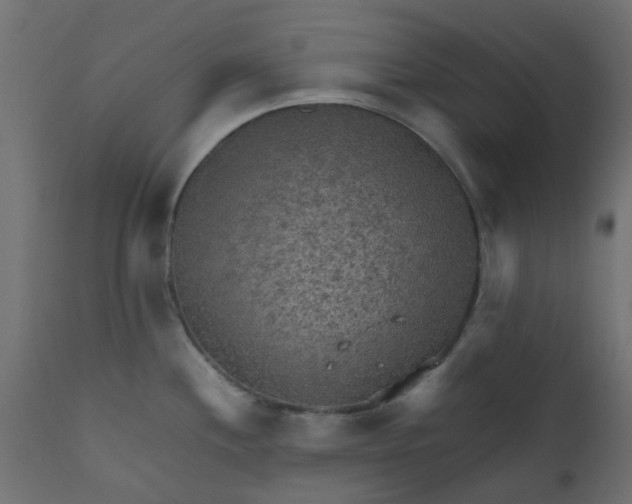 X0000110711244200906261424