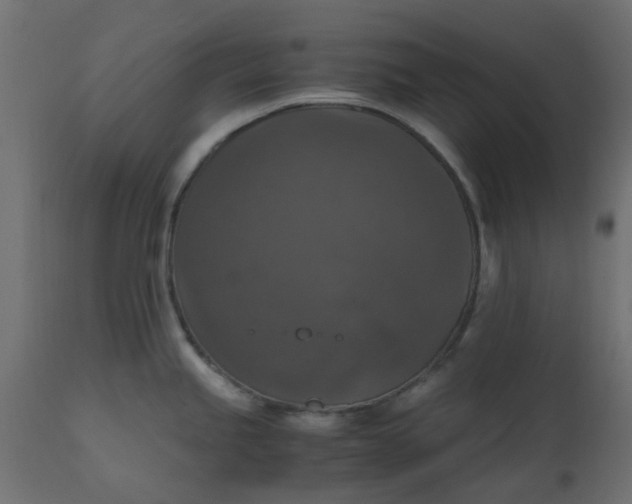 X0000110711245200906261424