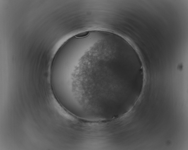 X0000110711246200906261424