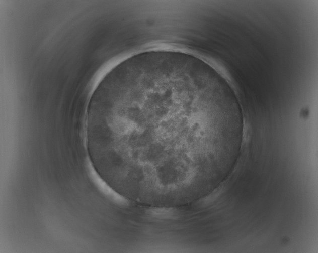 X0000110711247200906261424