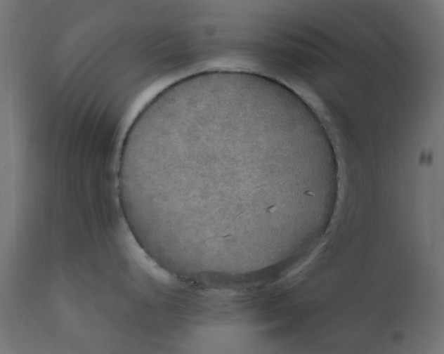 X0000110711248200906261424