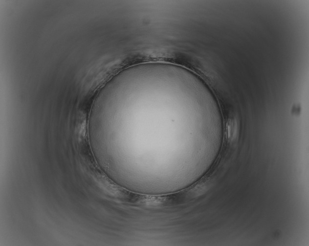 X0000110711251200906261423