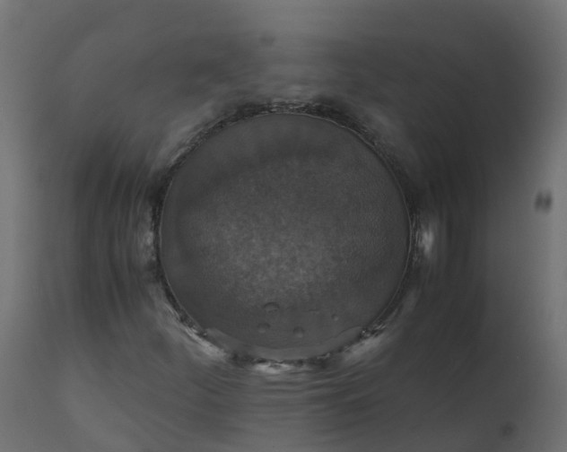 X0000110711252200906261423