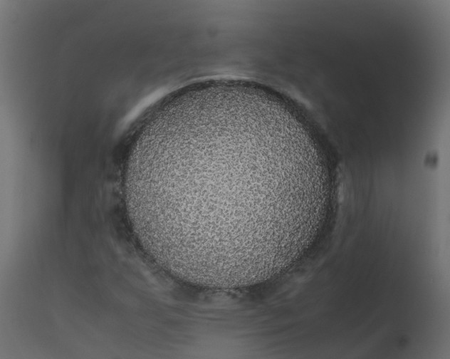 X0000110711255200906261423
