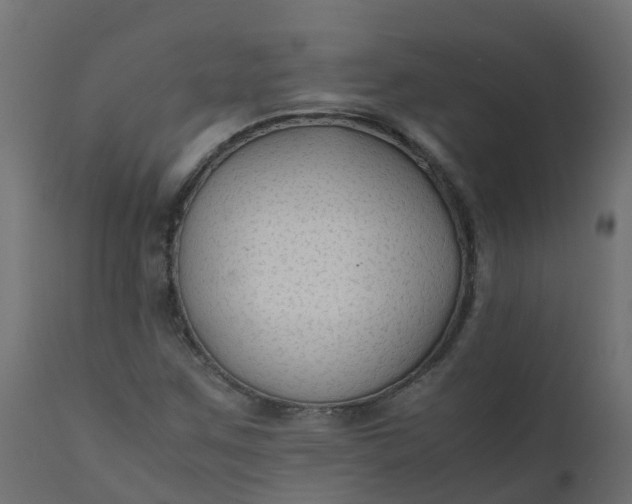X0000110711259200906261423