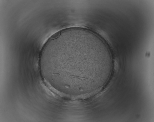 X0000110711260200906261423