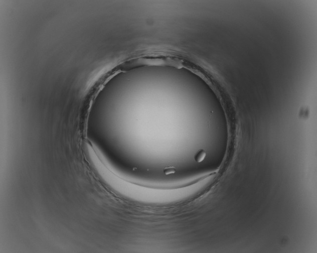 X0000110711261200906261423