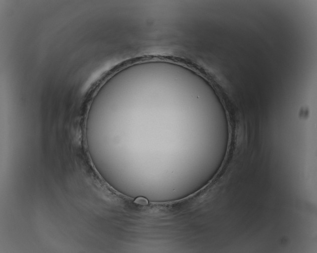 X0000110711262200906261423