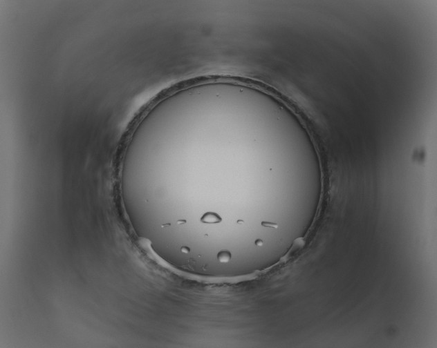 X0000110711264200906261423