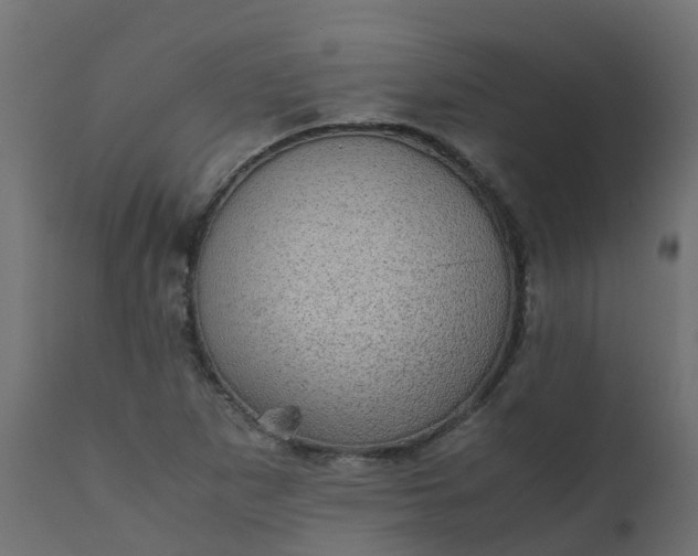 X0000110711265200906261423