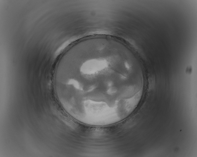 X0000110711266200906261423