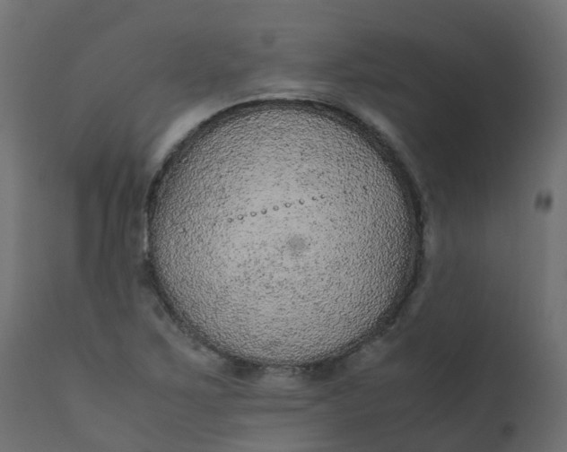 X0000110711267200906261423
