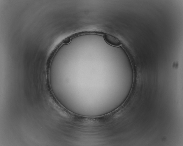X0000110711270200906261423