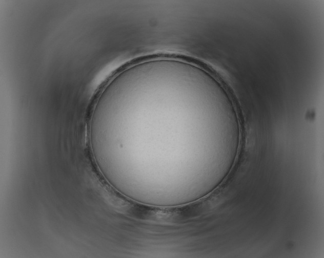 X0000110711271200906261423