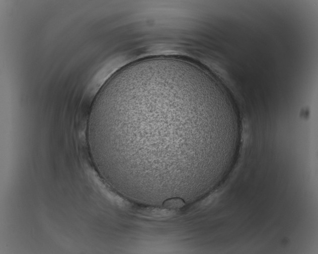 X0000110711273200906261423