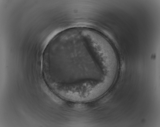 X0000110711275200906261423