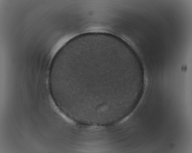 X0000110711277200906261423