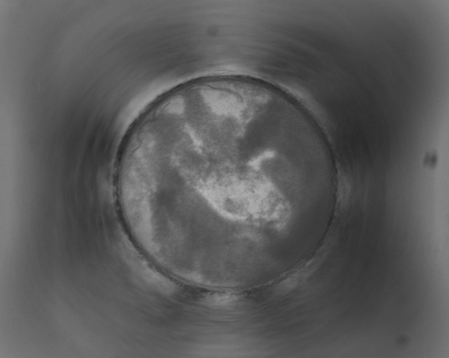 X0000110711278200906261423