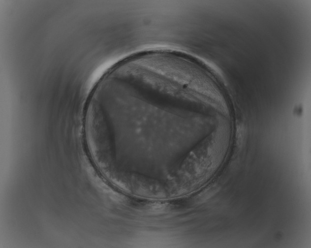 X0000110711279200906261423