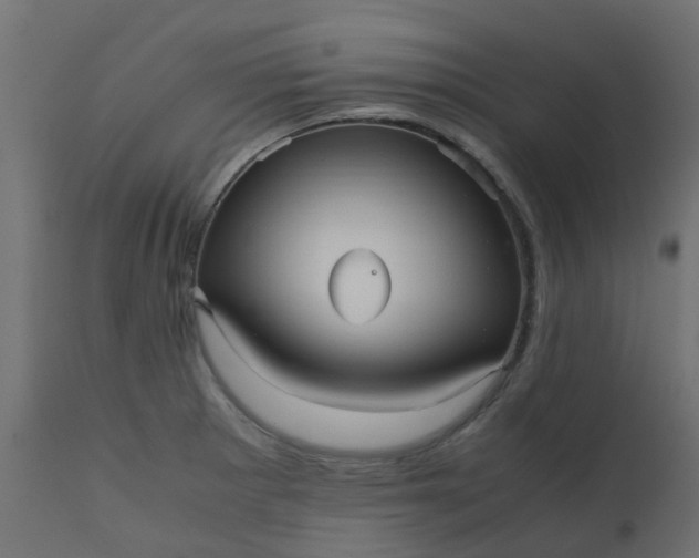 X0000110711281200906261423