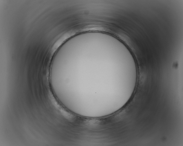 X0000110711282200906261423