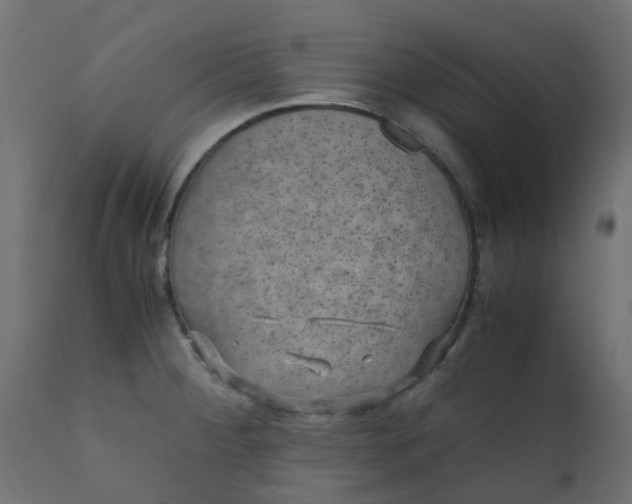 X0000110711284200906261422