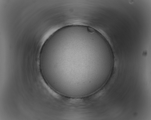 X0000110711285200906261422