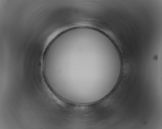 X0000110711286200906261422