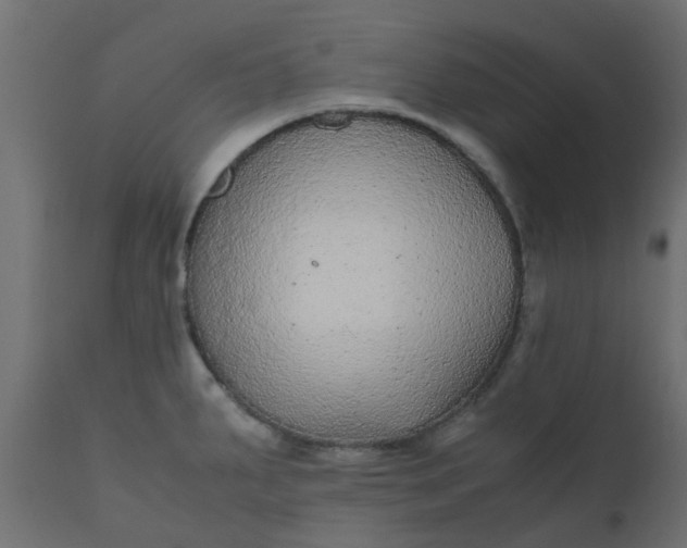 X0000110711287200906261422