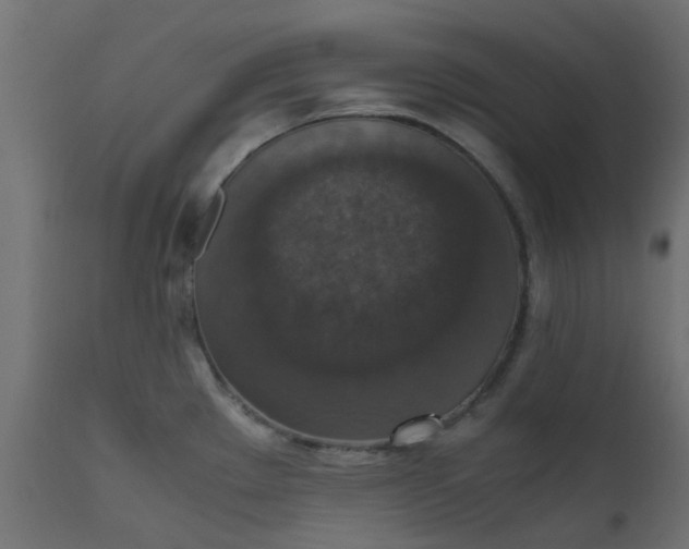 X0000110711289200906261422