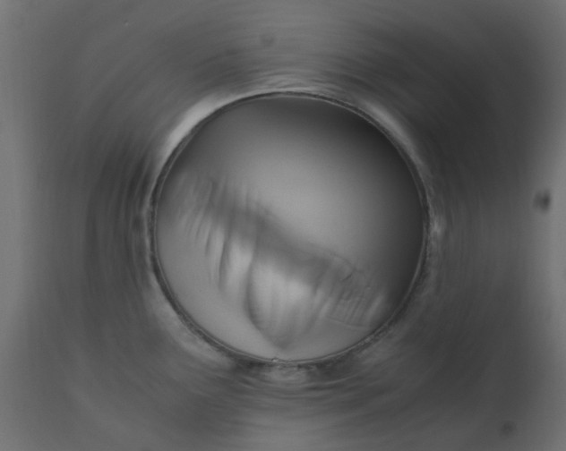 X0000110711291200906261422