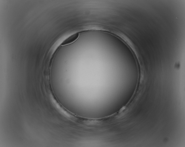 X0000110711293200906261422